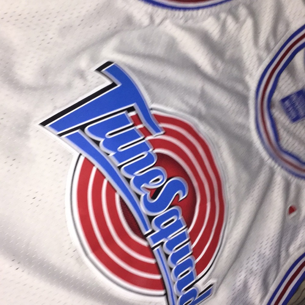 Jordan#23 jeresy  champion tunesquad authentic L